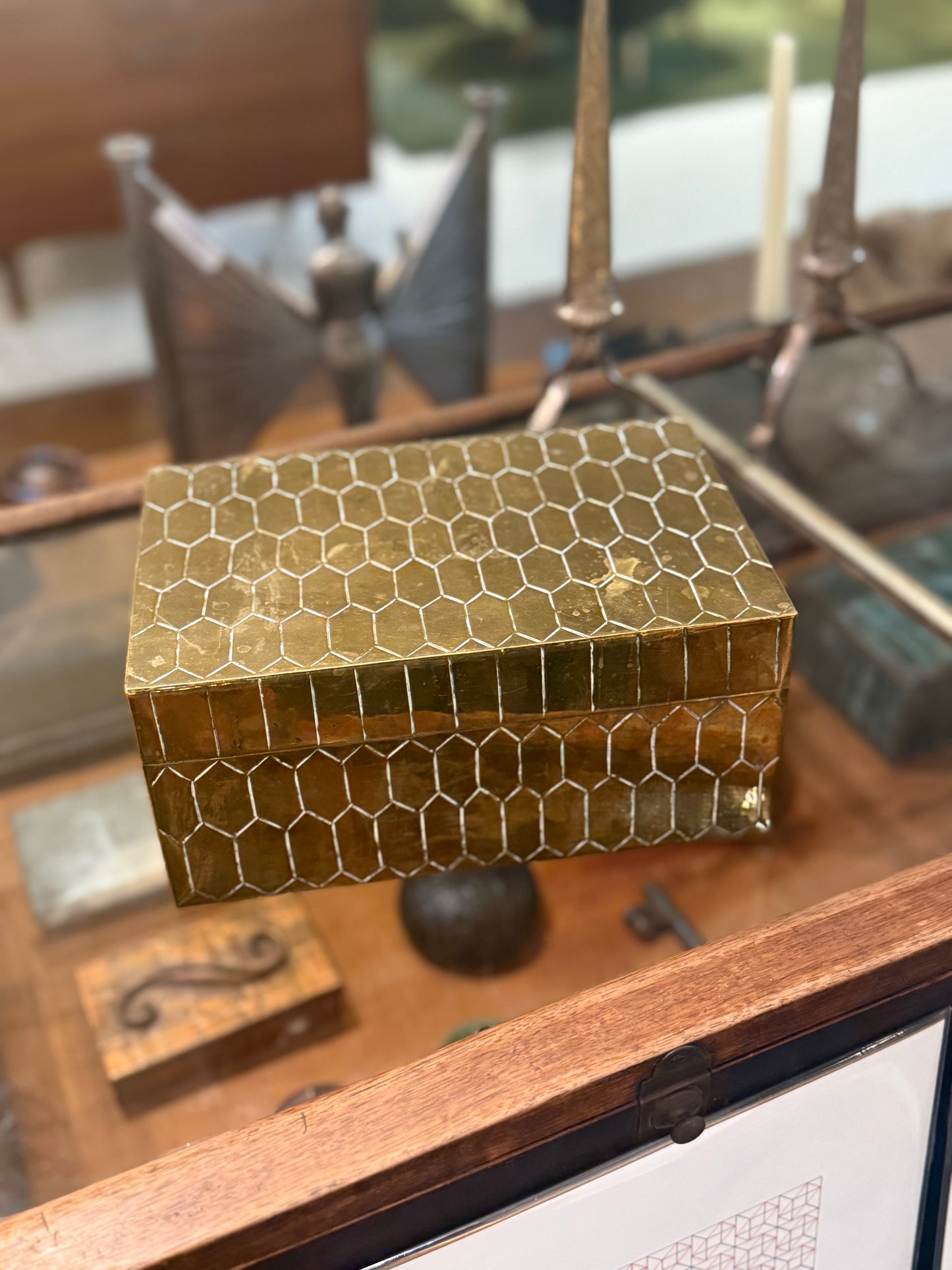 Rare Embossed Snakeskin Brass Box