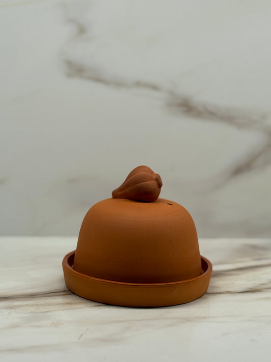 Terracotta Cloche