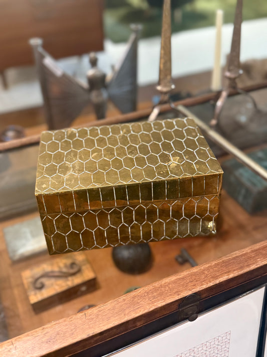 Rare Embossed Snakeskin Brass Box